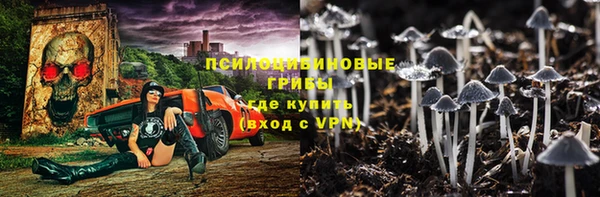 ALPHA-PVP Богородицк